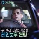 틴트리 이미지