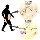 [간석동 PT] 딱딱한 살 vs 말랑한 살 뭐가 더 빼기 쉬울까?