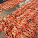 알찬대게 이미지