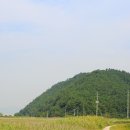 남도삼백리길(10코스) 이미지