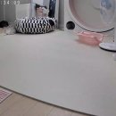 토리벼리