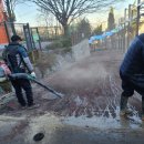 문교초등학교 이미지