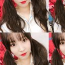 버디아이즈 이미지