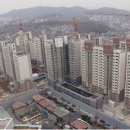 뉴영광 이미지