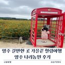 나리 | 가을 끝 힐링여행 양주 나리농원 후기 입장료 나리쿠폰 정보 포함