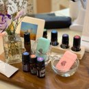 사쿠란보애견샵 부산대점 | 부산 힐링 헤드스파 컬러드스파 부산대점 두피스파 후기