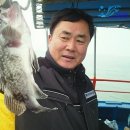 해조호 이미지