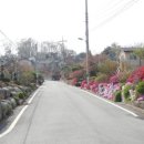 광풍중학교 이미지