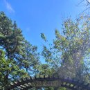 양을산산림욕장 이미지