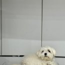 재봉틀 배우기(입문반) | [경기/고양] 행신역 소수정예 재봉틀 공방_아뜰리에 한땀(1stutch_class)