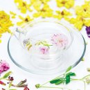 개인과제 기사해석 Flower Tea Relieves Spring Fatigue 154658 안재찬 이미지