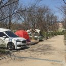 중랑가족캠핑장 이미지