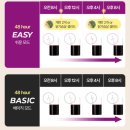 48 | [내돈내산] 푸드올로지 톡스올로지 클렌즈 48시간 찐 후기!!