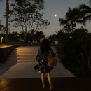 [나트랑 리조트] 알마리조트 알마나 좋아? 2탄 : 헬스장과 수영장, 프라이빗 비치, 아시아나 레스토랑