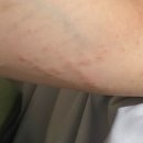 혜현의원 이미지