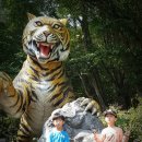 유년시절 이미지