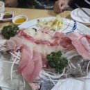 동대참치