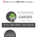 호산나꽃다육 이미지