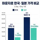 마운자로 해외구매 가능할까? 일본 가격 차이·세관 반입 조건·주의점 정리