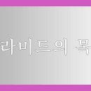 지식의 여정 이미지