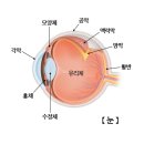 서울닥터윤치과 이미지