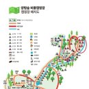 목내로1 | 양평숲 비룡캠핑장 | 1박 예약 가능, 선착순 사이트...초대캠, 애견동반, 계곡, 수영장, 솔직 후기, 펜션