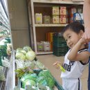 영복마트 이미지