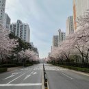 롯데캐슬2단지 | 구서 롯데캐슬2단지 조명교체 후기 거실과 안방