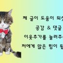 딱지몰 이미지
