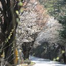 물안개공원 이미지