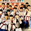 하나용인대태권도 네이버블로그