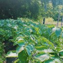 공해 경로당 이미지