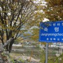충혼길 이미지