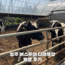청주 농촌 버스투어 다래목장 치즈 피자 만들기 건초 주기 체험 후기