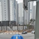 등기소 사거리 이미지