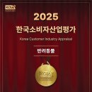 도마뱀집사TV