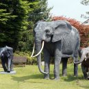 아프리카예술박물관 캠핑장 이미지