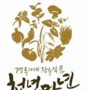 천년웰빙 이미지