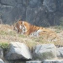 마이서울트립 네이버블로그