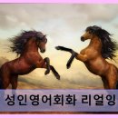 전문교육과정(영어회화) | 1대1 성인영어회화 리얼잉글리쉬 240여 명 전문 교사와 맞춤 수업