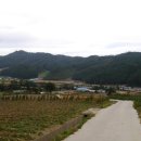 고단2리 이미지