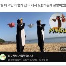 한양대탑수정태권도 | [일상] 8. I need Brunch 그리고 여유🥱