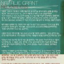 Natalie Grant(나탈리 그랜트) 'Relentless' 이미지