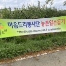 심경농원 이미지