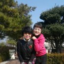 다희 Daum카페