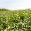 복지구리충전소 이미지