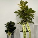 다산탑한의원 이미지