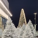 하늘자락 물소리 | [기장] 탄티 카페 솔직 후기 | 클래식 공연·80가지 베이커리 완벽 (주차·메뉴·가격)