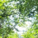 보리공인중개사사무소 이미지