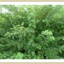 동일건재 이미지